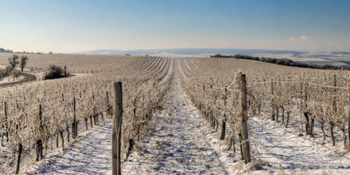 LA MANUTENZIONE DELLE POMPE A MEMBRANA IN INVERNO