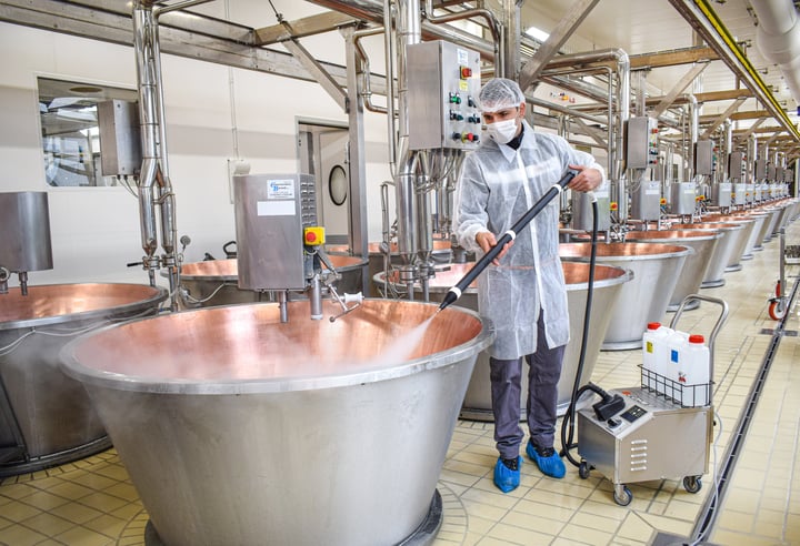 PROFESSIONAL STEAM GENERATORS: AN EFFECTIVE AND ENVIRONMENT-FRIENDLY CHOICE