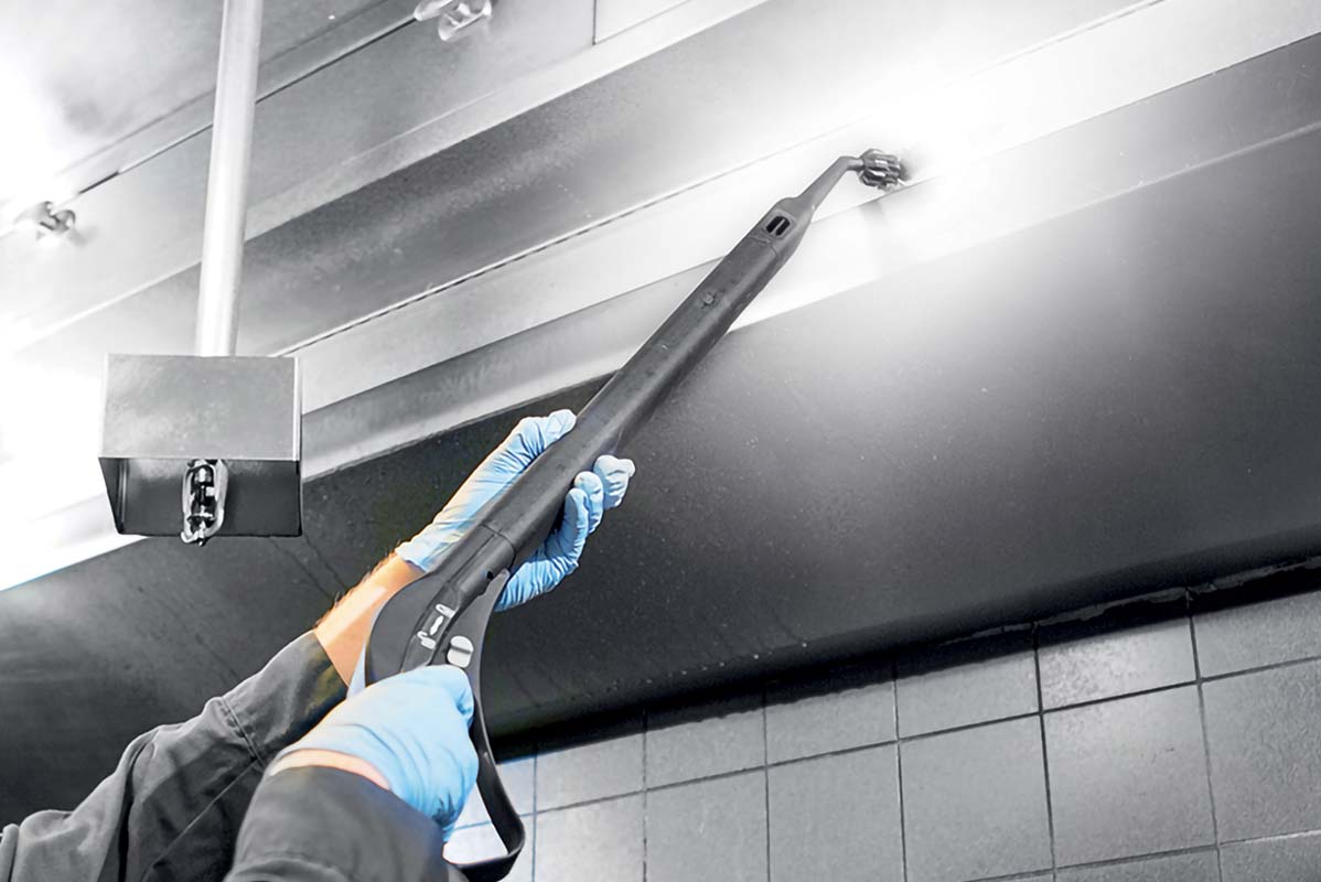 THE PROFESSIONAL STEAM GENERATOR: UNPARALLELED CLEANING AND SANITIZATION